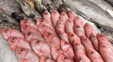 أسعار السمك والجمبري في الأسواق اليوم السبت 21 مارس